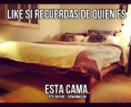 /album/fotogaleria/a644554-442513692502619-1589485512-n-jpg/