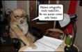 /album/fotogaleria/a934983-619713501390331-1797939050-n-jpg/