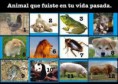 /album/fotogaleria/a945757-600784279939192-201875081-n-jpg/