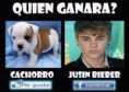 /album/fotogaleria/a947016-618217598207625-902591206-n-jpg/